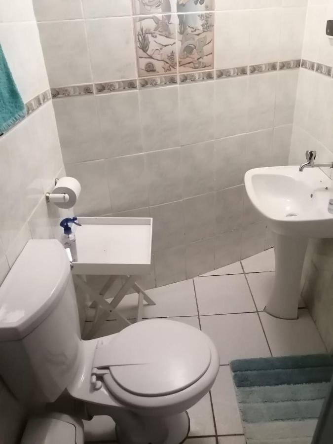 36 Mount Road Self Catering Hotel Port Elizabeth Exterior foto